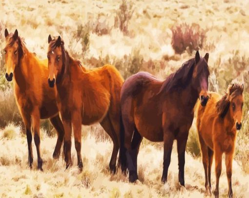 Brumbies Brown Flock paint by number