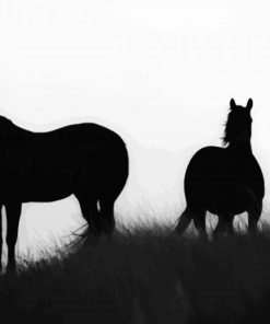 Brumbies Silhouette paint by number