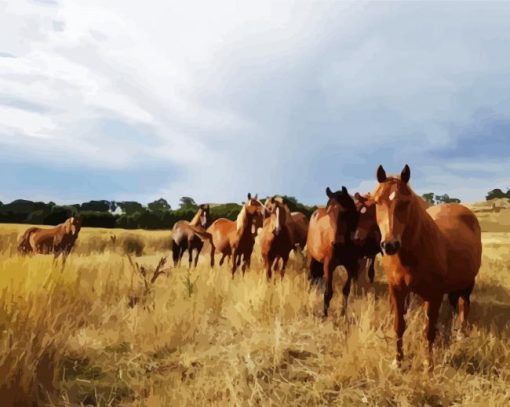 Brumby Flock paint by number