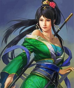 Chinese Warrior Lady paint by number