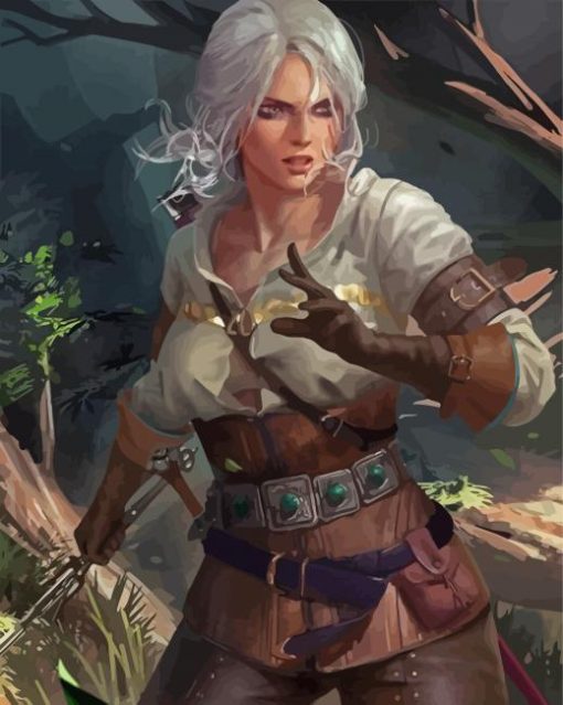 Ciri Witcher Illustration paint by number