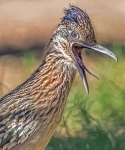 Close Up Roadrunner Bird paint by number