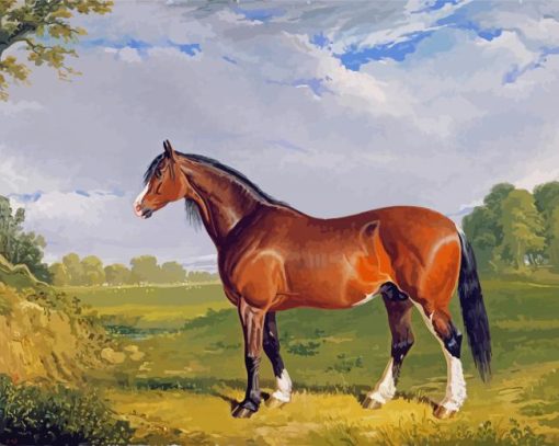 Clydesdale Stallion paint by number