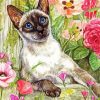 Cool Siamese Cat paint by number