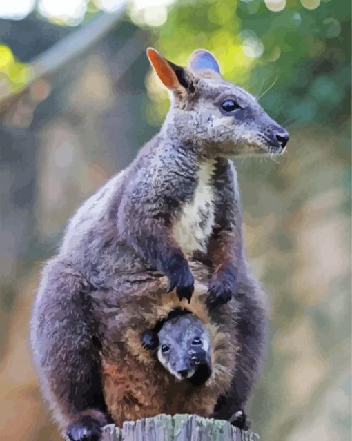 Cool Wallaby Animal paint by numbers