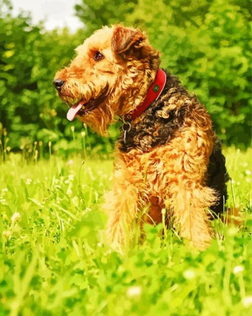 Cute Airedale Terrier paint by numbers