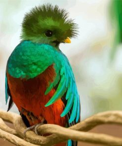 Cute Quetzal paint by numbers