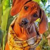 Cute Ridgeback paint by number