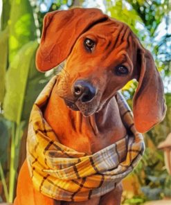 Cute Ridgeback paint by number