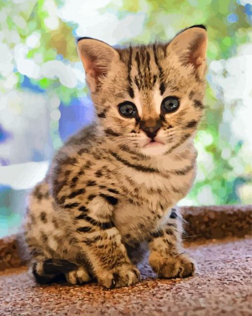 Cute Savannah Kitten paint by number