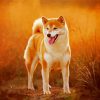 Cute Shiba Inu Dog paint by number