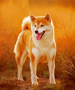 Cute Shiba Inu Dog paint by number