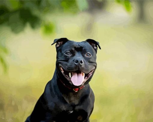 Cute Staffy Puppy paint by number