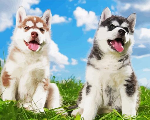 Cute Huskies paint by number