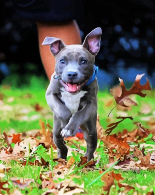 Cute Puppy Pitbull paint by number