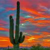 Desert Cactus Sunset paint by numbers