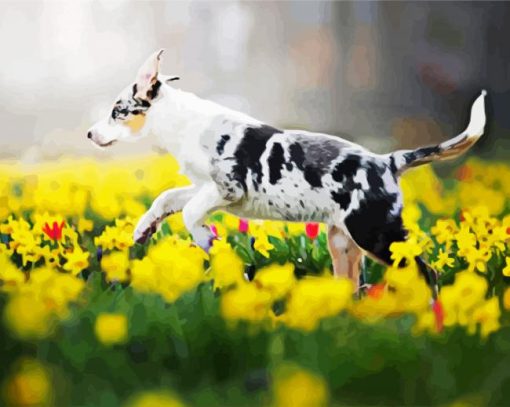 Dog In Flowers paint by numbers