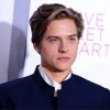 Dylan Sprouse paint by number