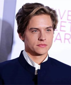 Dylan Sprouse paint by number