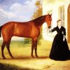 Equestrian Lady paint by numbers