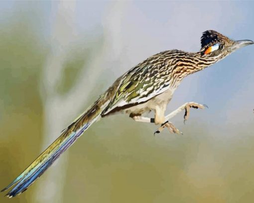 Flying Roadrunner paint by numbers