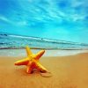 Golden Starfish paint by numbers