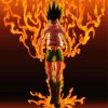 Gon Freecss Art paint by number