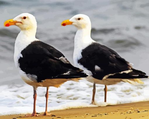 Great Black Backed Gulls paint by numbers