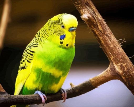 Green And Yellow Budgerigar paint by number