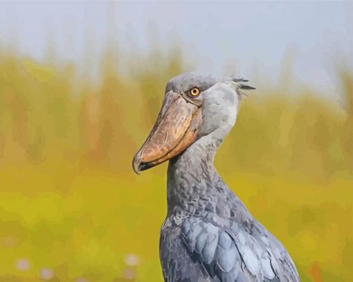 Grey Shoebill paint by number