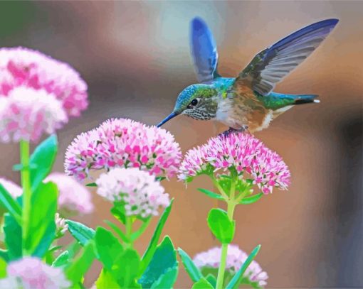 Hummingbird And Flowers paint by numbers