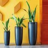 Indoor Plants paint by numbers