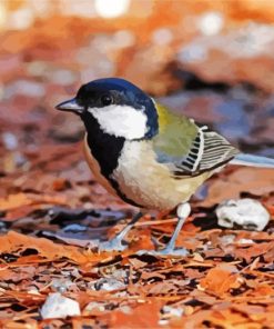 Japanese Tit Parus paint by numbers