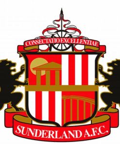 Logo Sunderland AFC paint by number