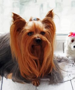 Long Haired Yorkshire Terrier And Dog Doll paint by number