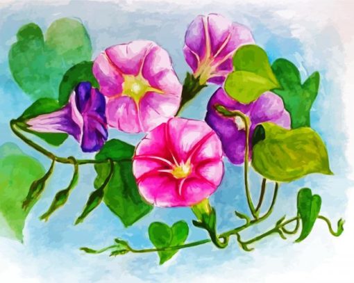 Morning Glory paint by number