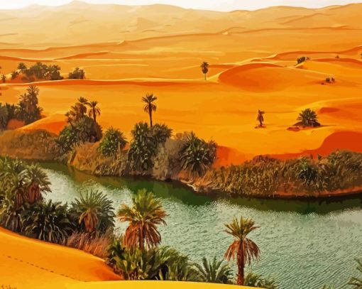 Oasis Desert paint by number