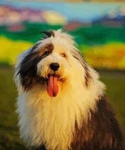 Old English Sheepdog paint by number