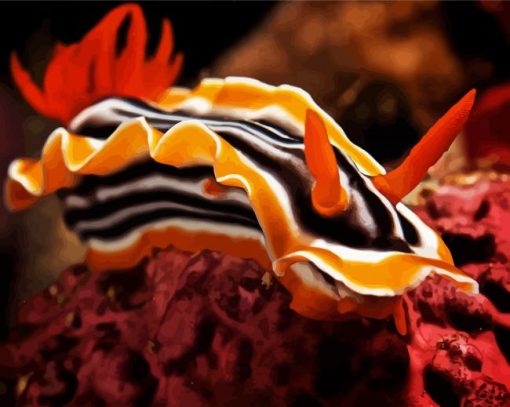 Orange Nudibranch paint by number