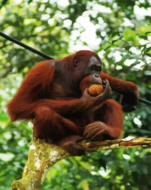 Orangutan Monkey On A Tree paint by numbers