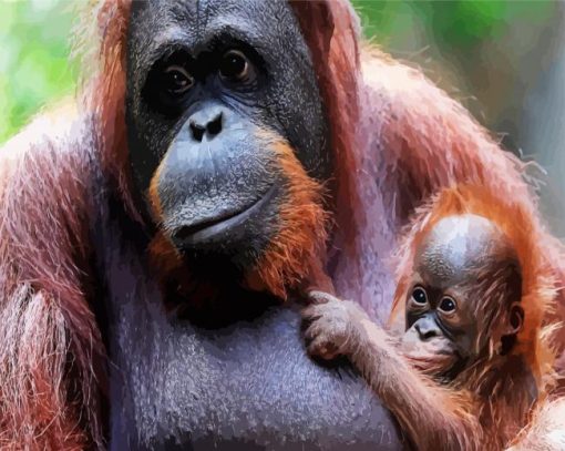 Orangutan And Baby Monkey paint by number