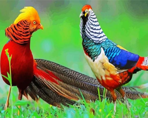 Pheasants paint by number