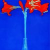 Piet Mondrian Amaryllis paint by number