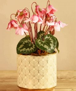 Pink Cyclamen Vase paint by number