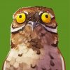 Potoo Illustration paint by numbers