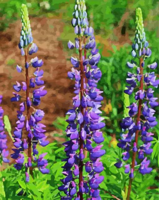 Purple Lupins paint by numbers