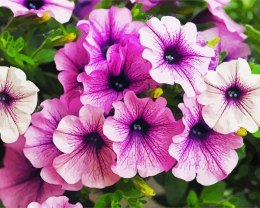 Purple Petunia Flowers paint by number