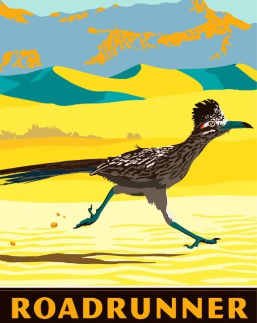 Roadrunner Bird Poster paint by numbers