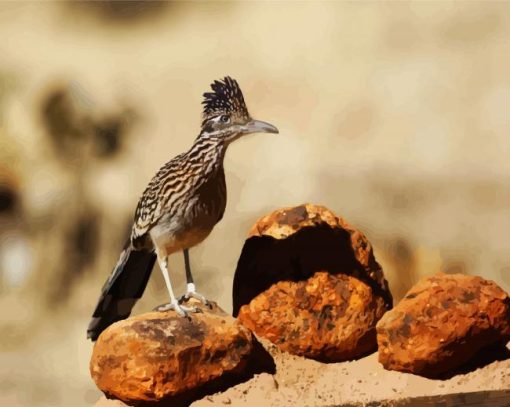 Roadrunner Bird paint by number