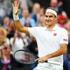 Roger Federer paint by numbers